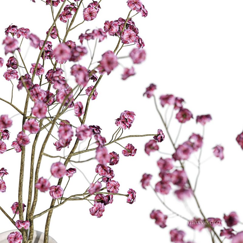 Flower set 08 - Image 2