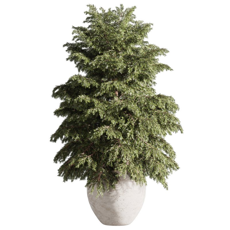 Pine tree outdoor-set33 - Image 3