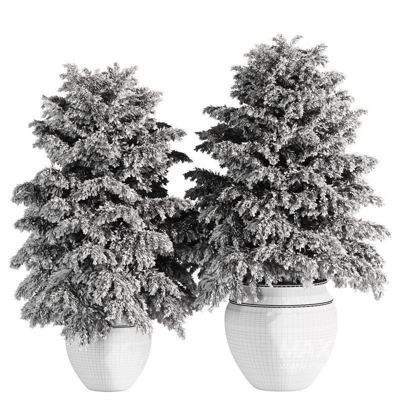 Pine tree outdoor-set33 - Image 4