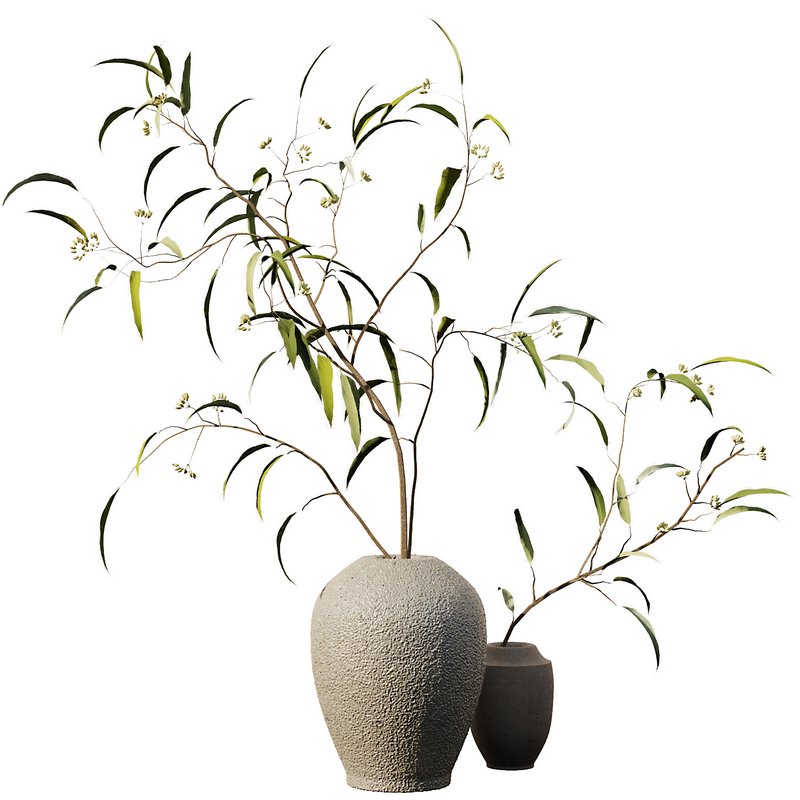 Eucalyptus Branches Bouquet - Image 1