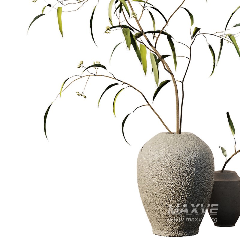 Eucalyptus Branches Bouquet - Image 5