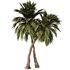 Palm Tree Set23 - Thumbnail 4