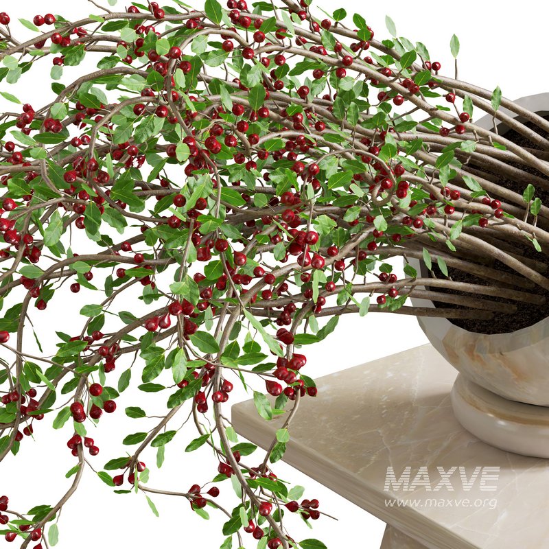 plant bouquet indoor 02 - Image 3