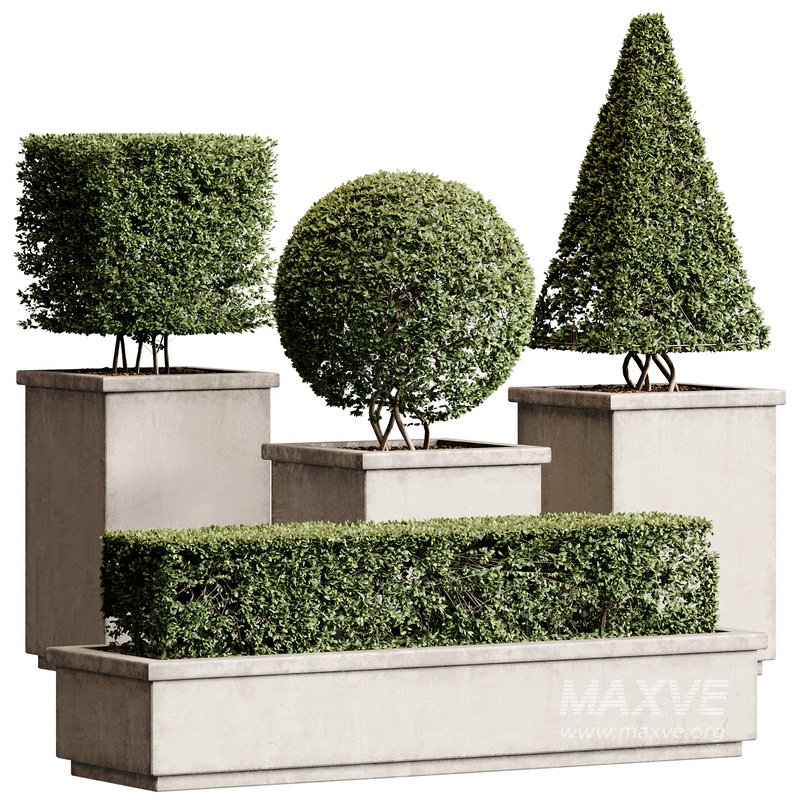 Outdoor Plant 27 - Image 1