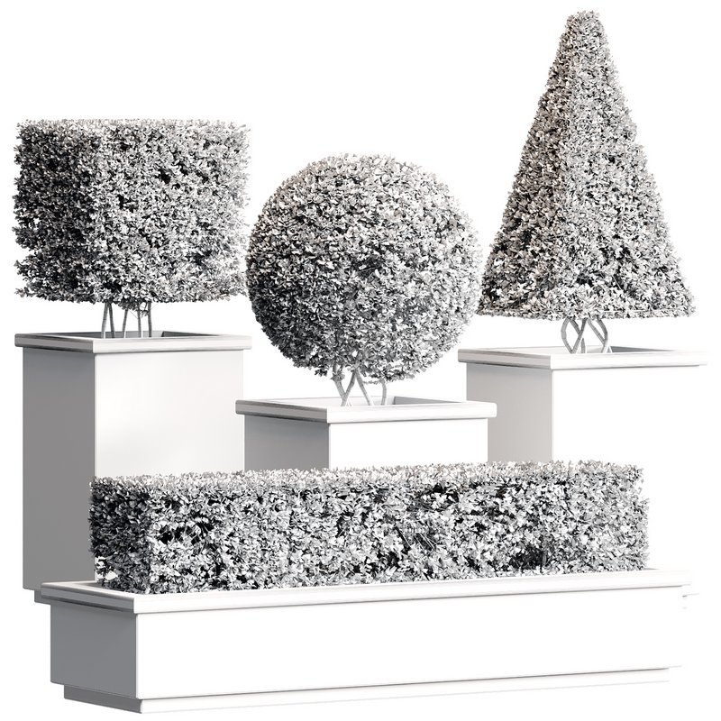 Outdoor Plant 27 - Image 4