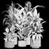 Indoor plant _set02 - Thumbnail 2