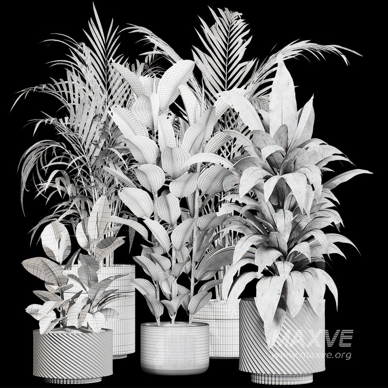 Indoor plant _set02 - Image 2