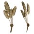 Tropical Brass Multi-Leaf Wall Sconce - Thumbnail 1