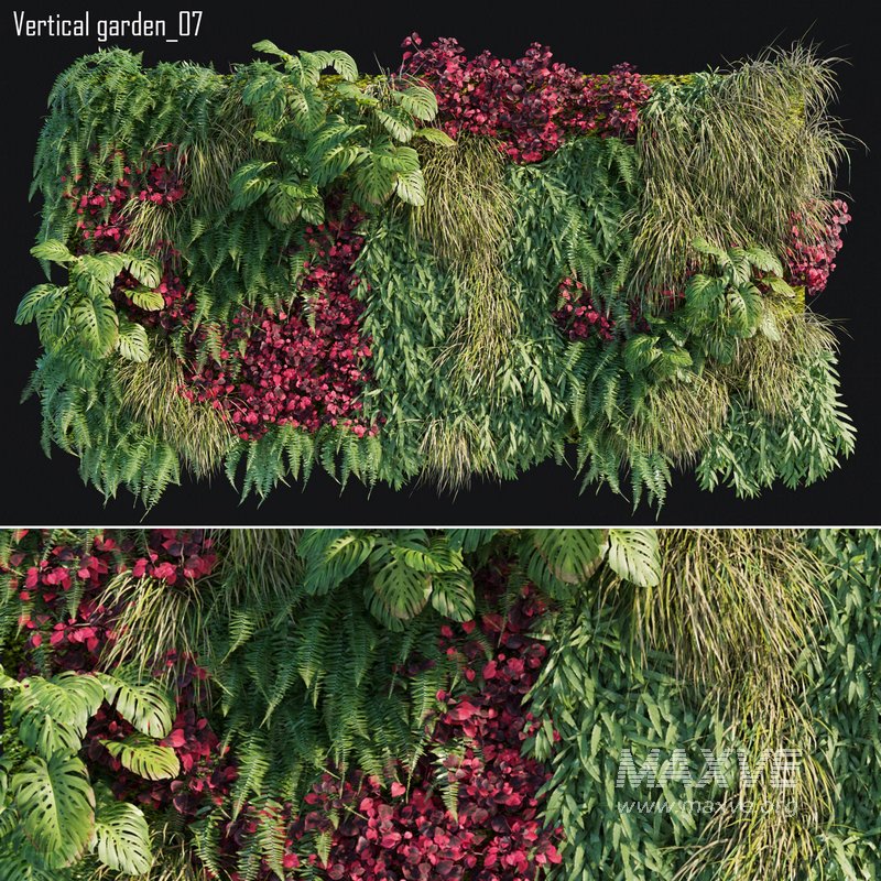 Vertical garden 07 - Image 1