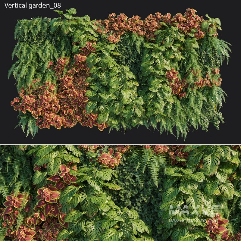 Vertical garden 08 - Image 1