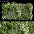 Vertical garden 09 - Thumbnail 1