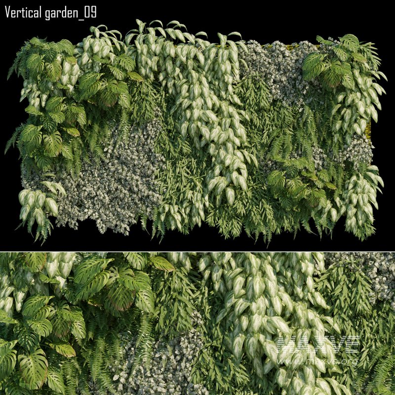 Vertical garden 09 - Image 1