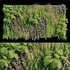 Vertical garden 10 - Thumbnail 1