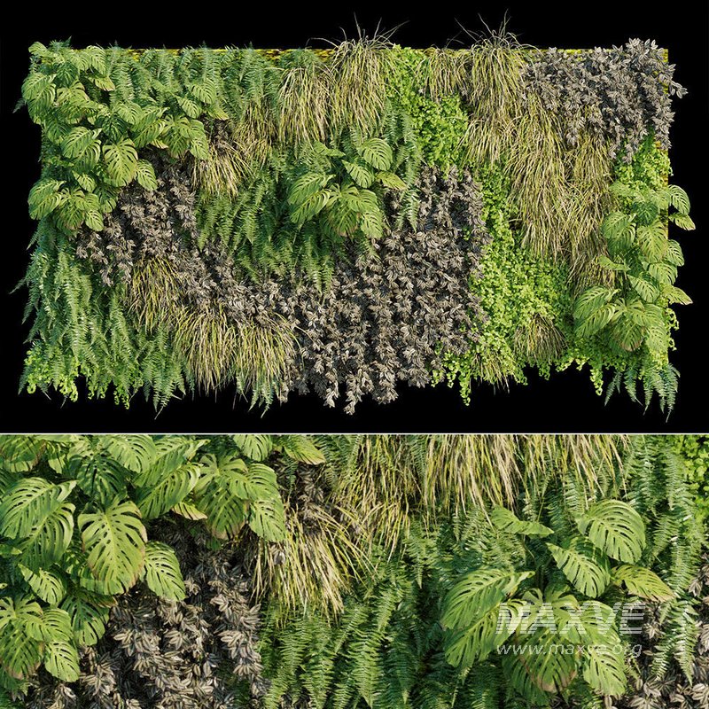 Vertical garden 10 - Image 1