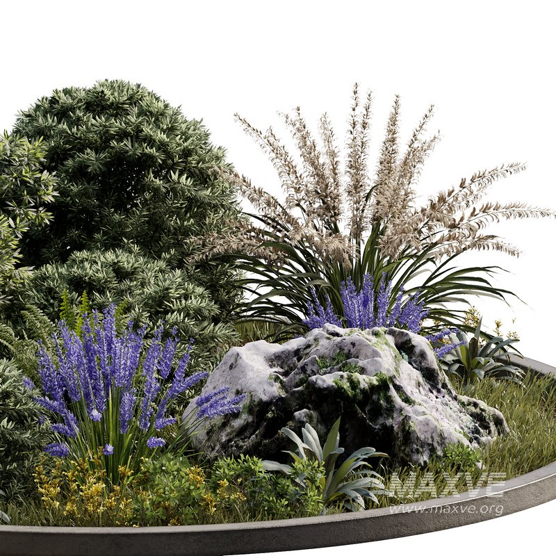 Outdoor Plant 32 - Image 2