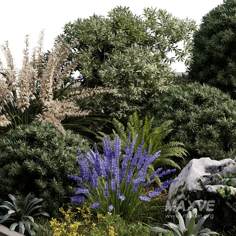 Outdoor Plant 32 - Image 3