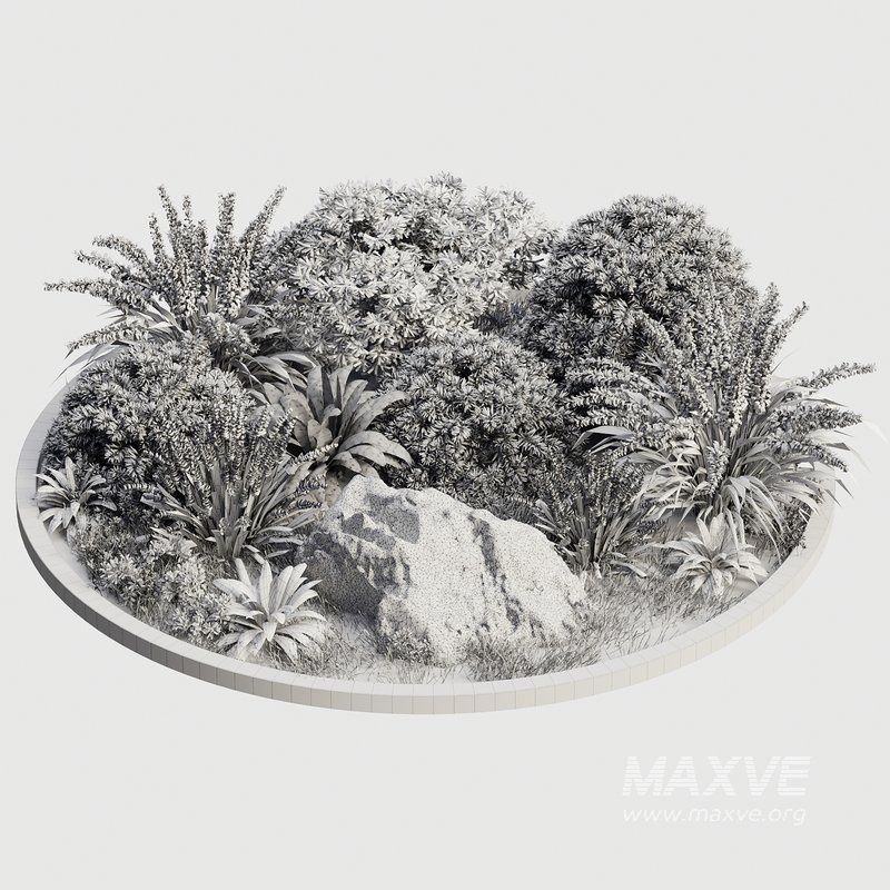 Outdoor Plant 32 - Image 4