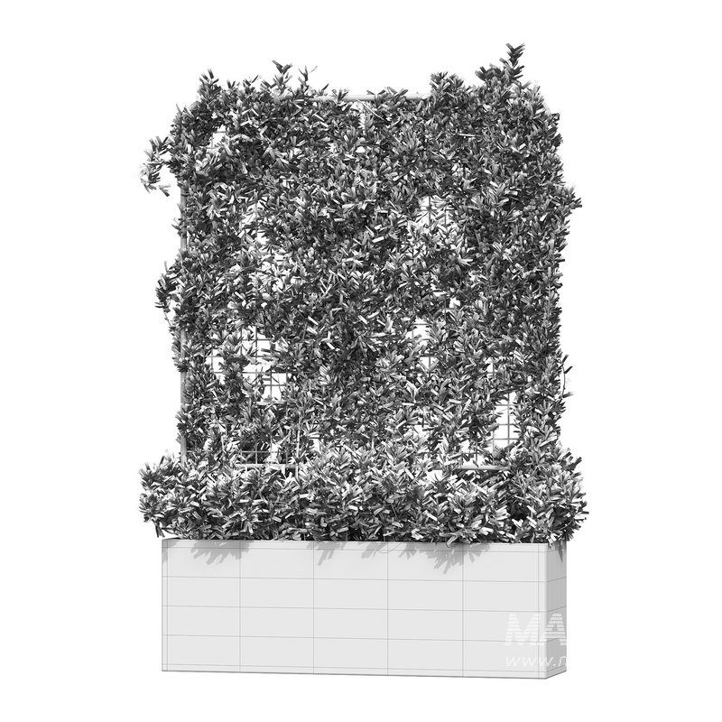 Botanical Planter 3 - Image 12