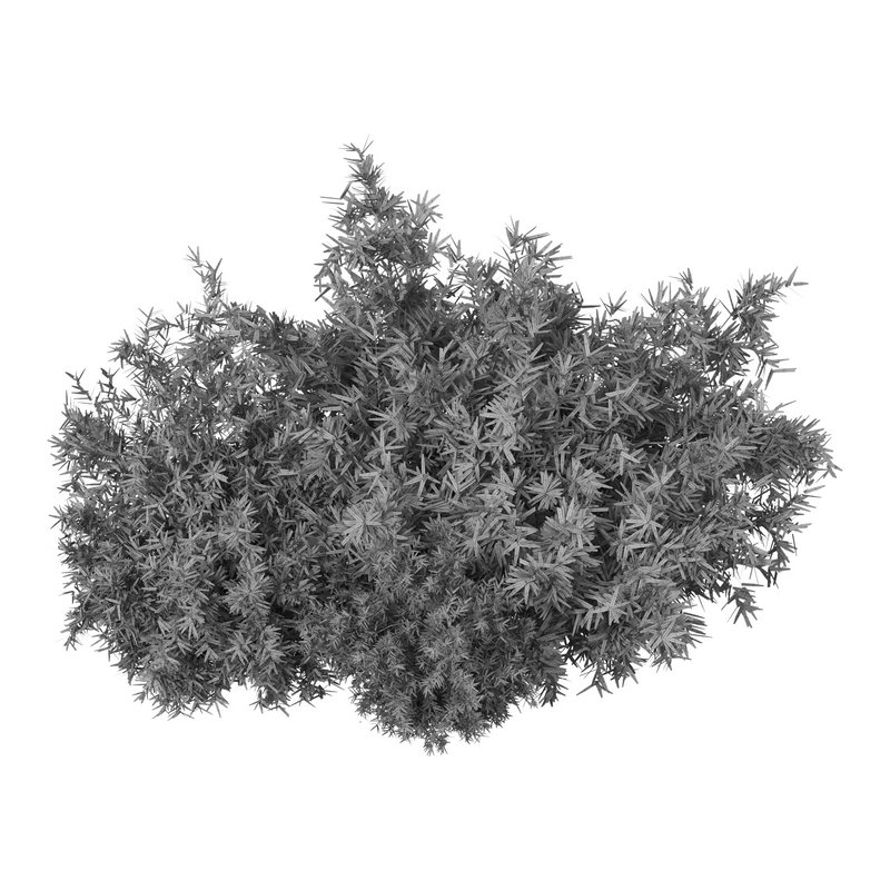 Natural Topiary Bush - Image 13