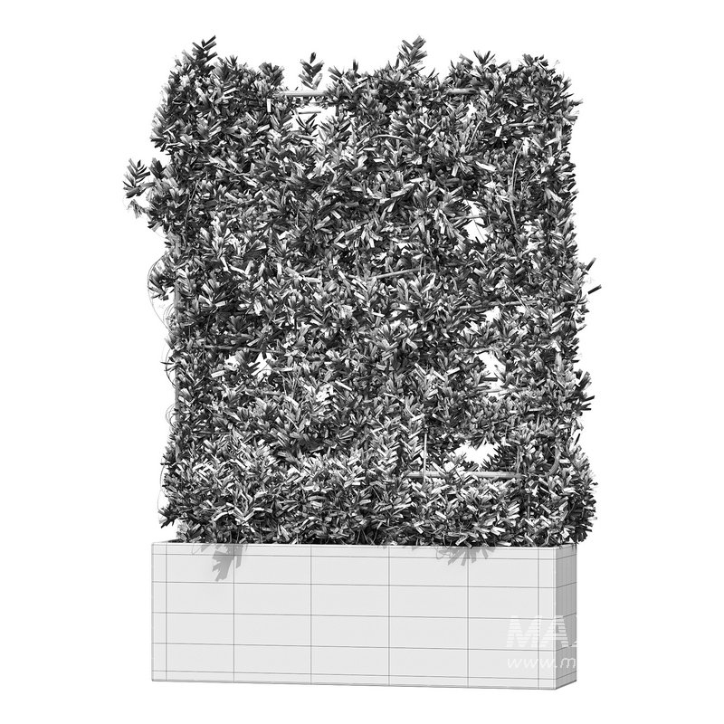 Botanical Planter 4 - Image 11