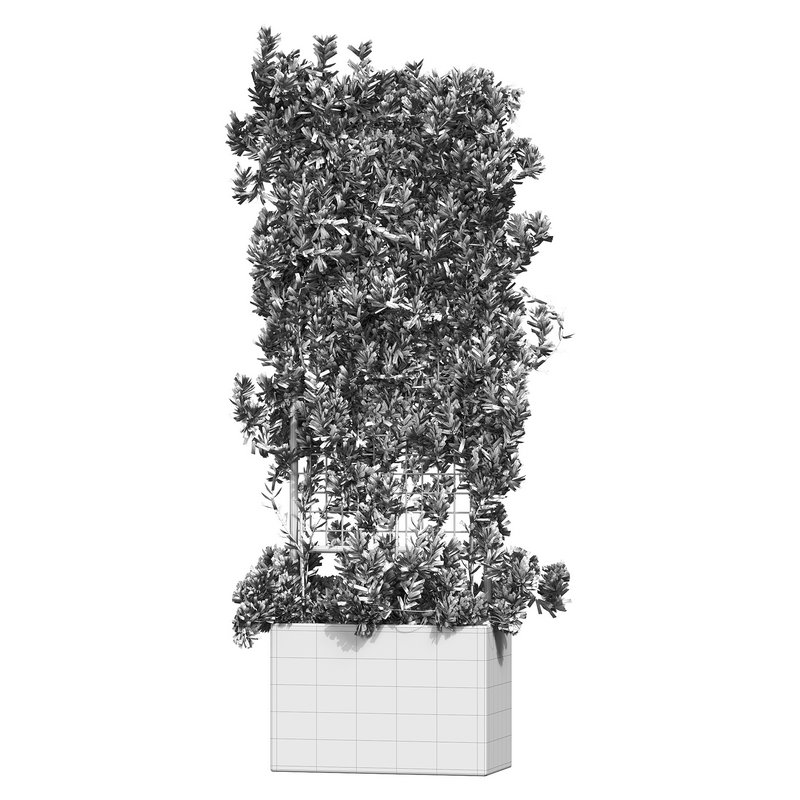 Botanical Planter 2 - Image 14