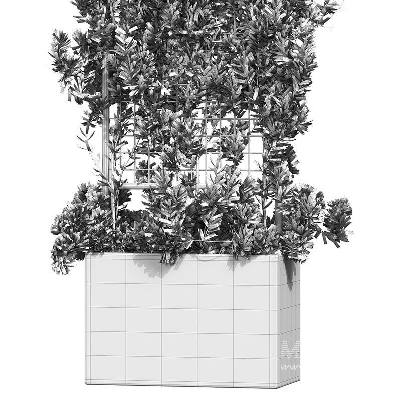 Botanical Planter 2 - Image 15