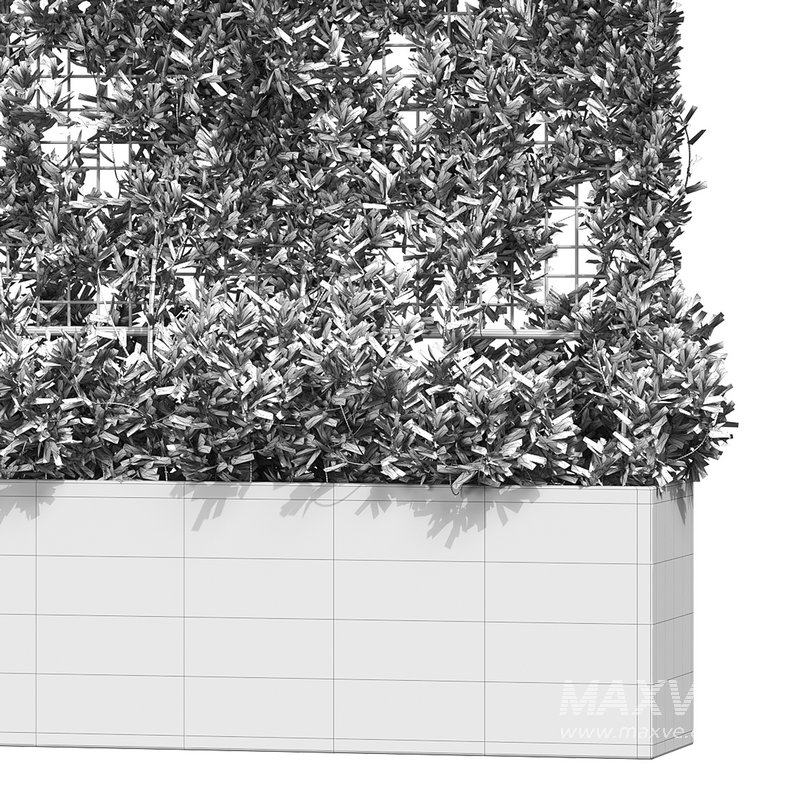 Botanical Planter 3 - Image 14