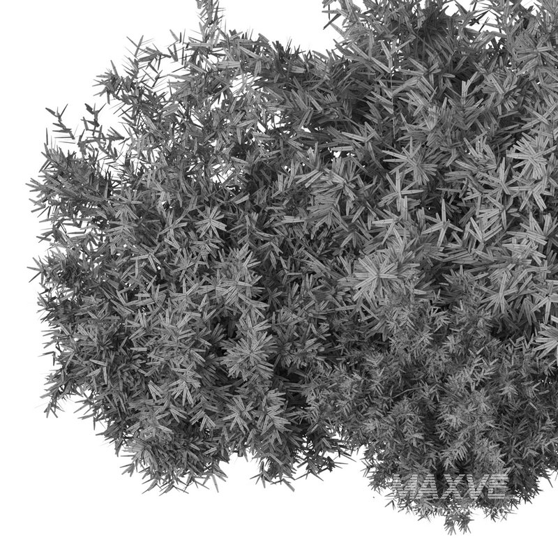 Natural Topiary Bush - Image 15