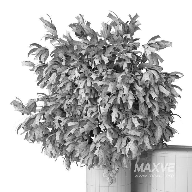 Isla Wall Mounted Lamp & Glass Vase - Image 15