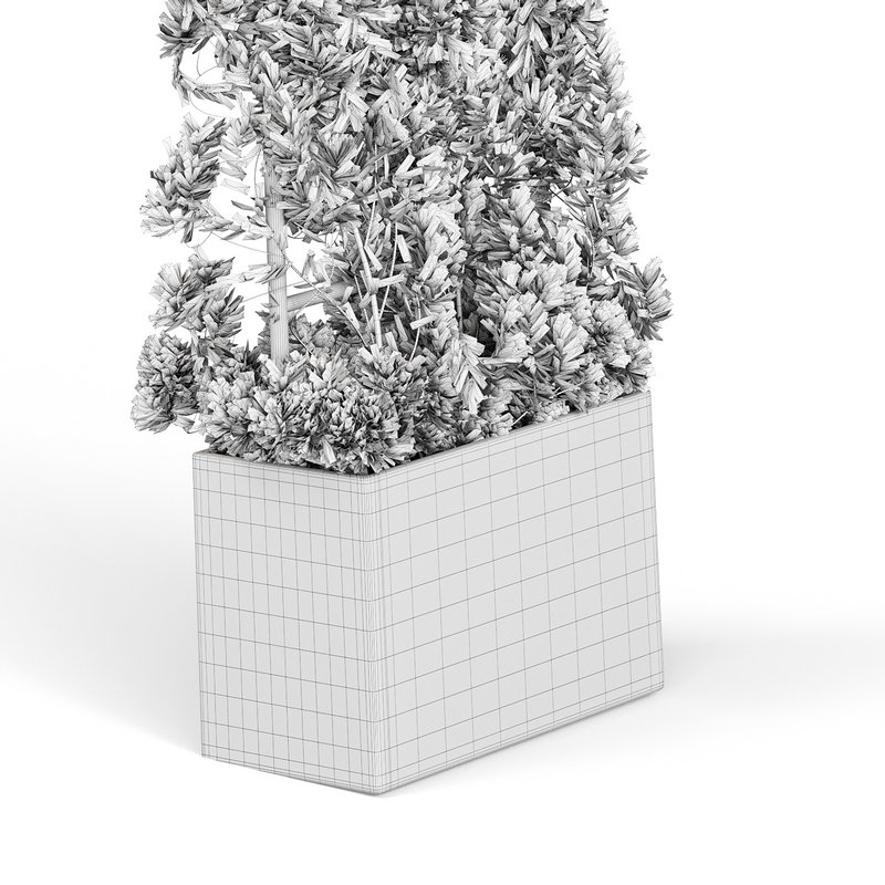 Botanical Planter - Image 15