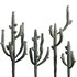 Carnegiea Gigantea – Saguaro 02 - Thumbnail 1