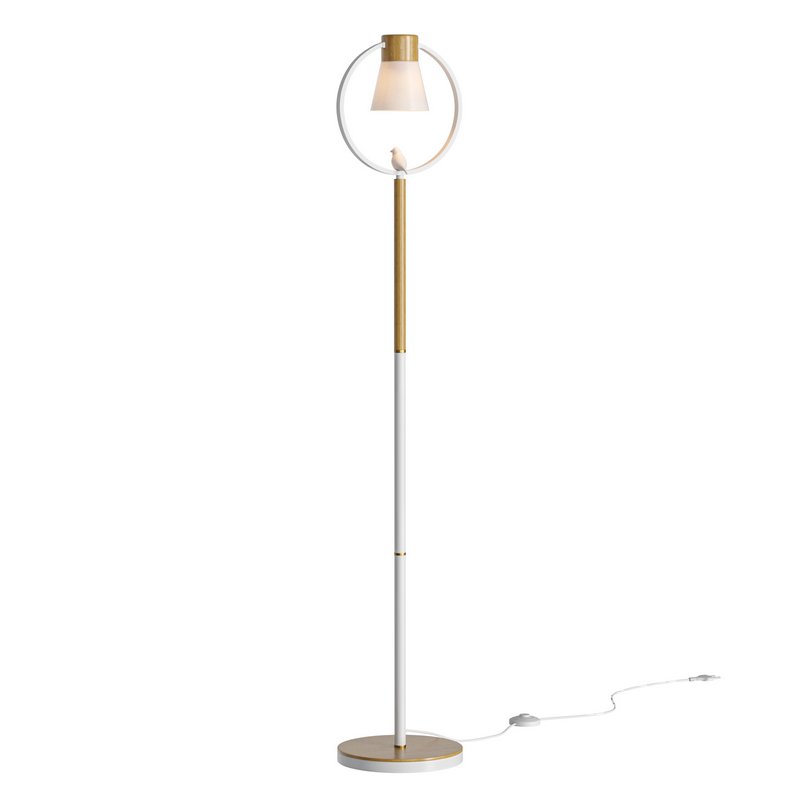 AV HousePlants Mission Kalamata Leccino Arbequina Wilsonii Chemlali Olive Set53 - Image 2