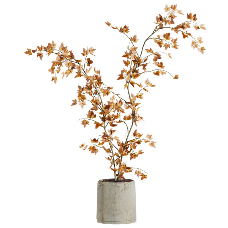 plants set - Image 4