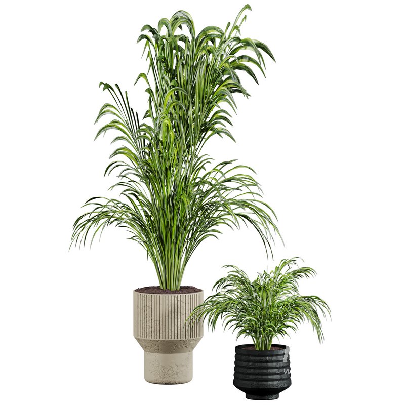 plants set - Image 4