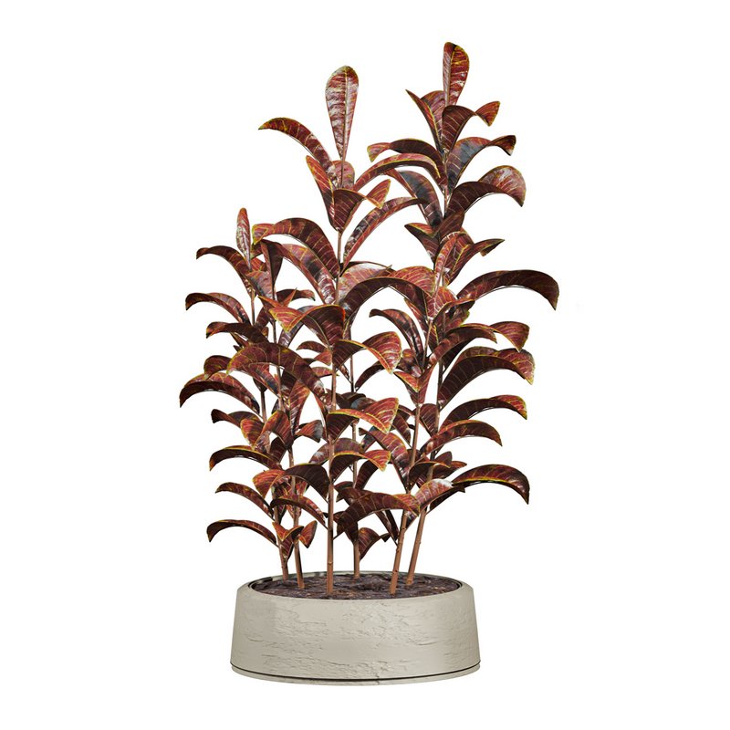 plants set - Image 3