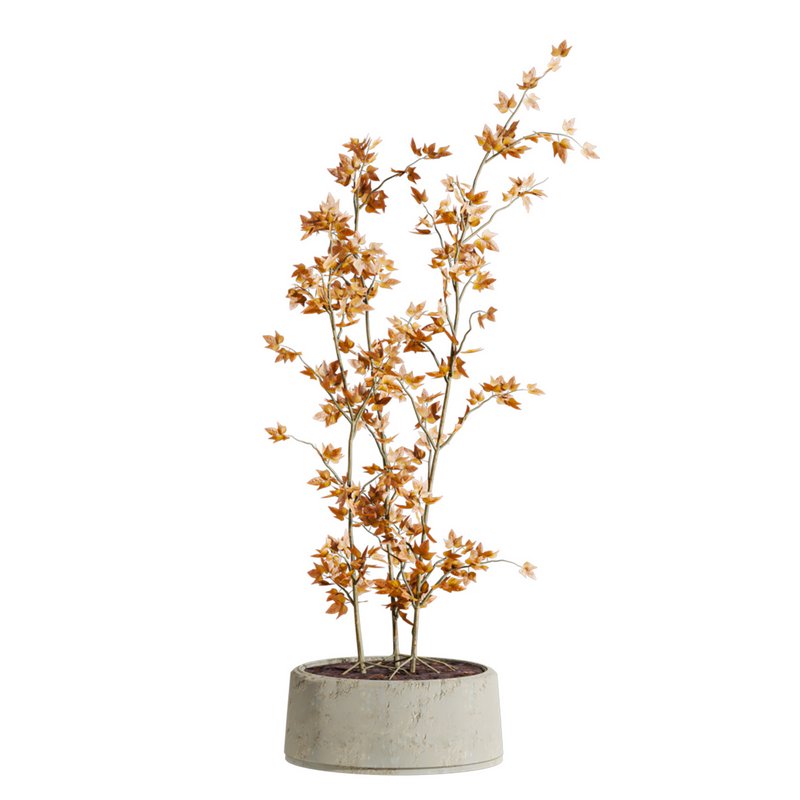 plants set - Image 2