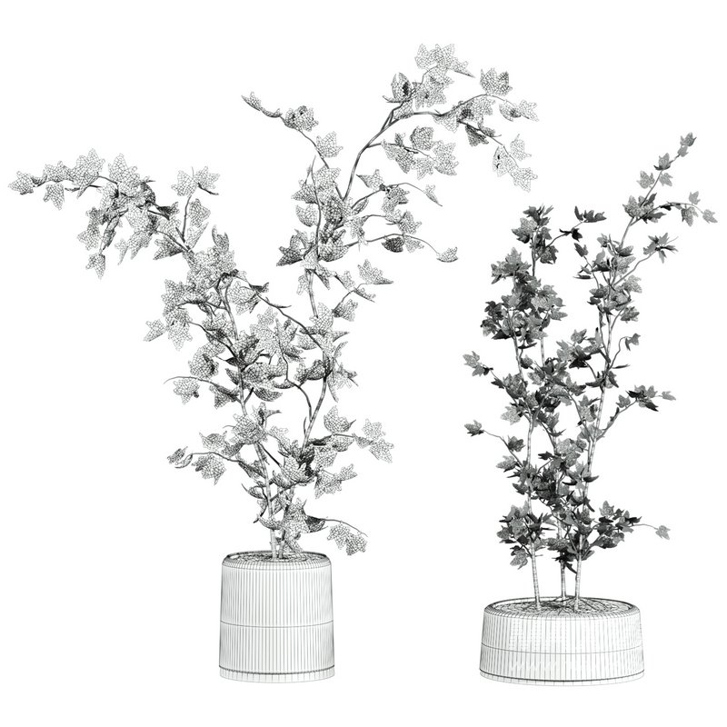 plants set - Image 3