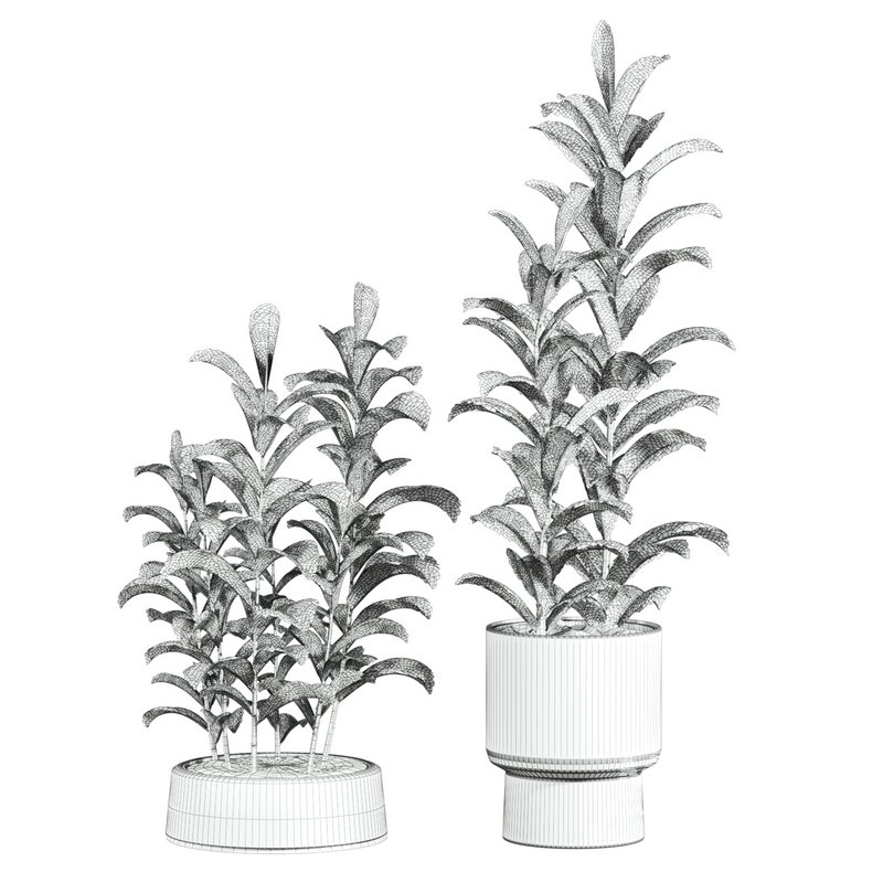 plants set - Image 2