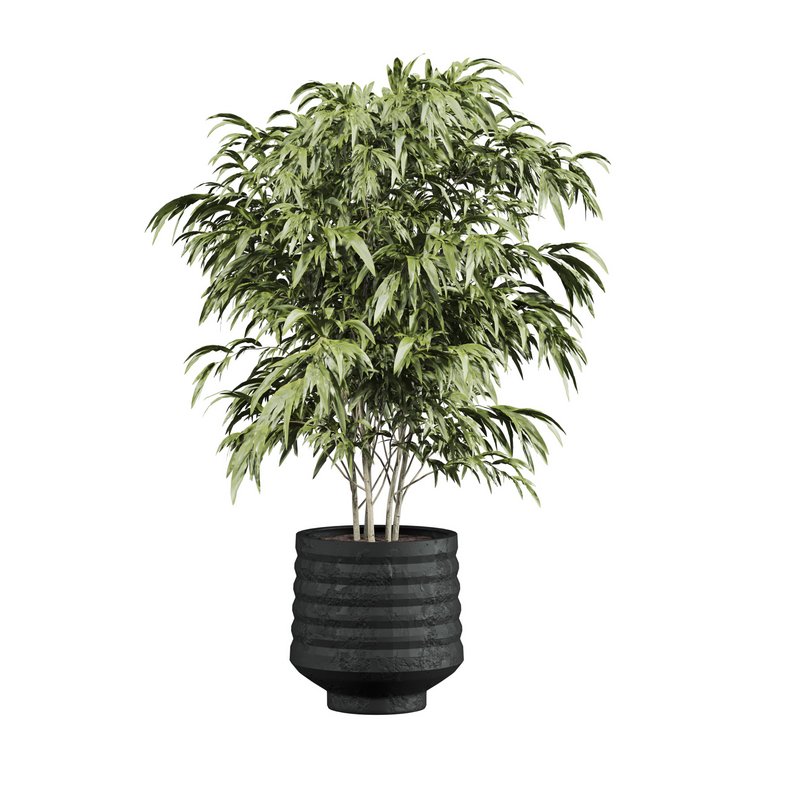 plants set - Image 6