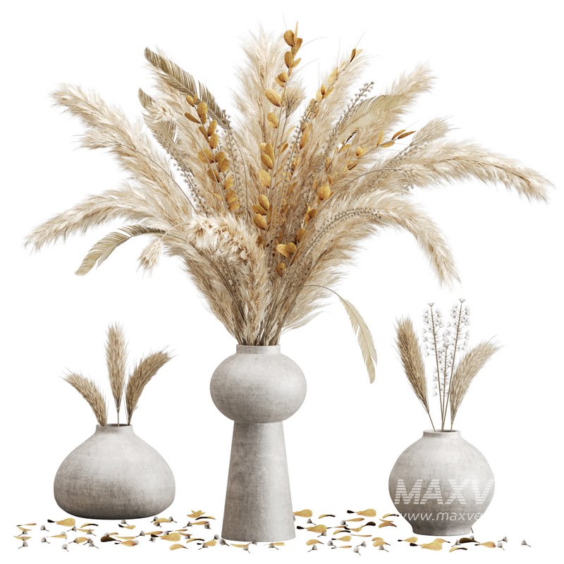 Minimal Dried Pampas Set - Image 1