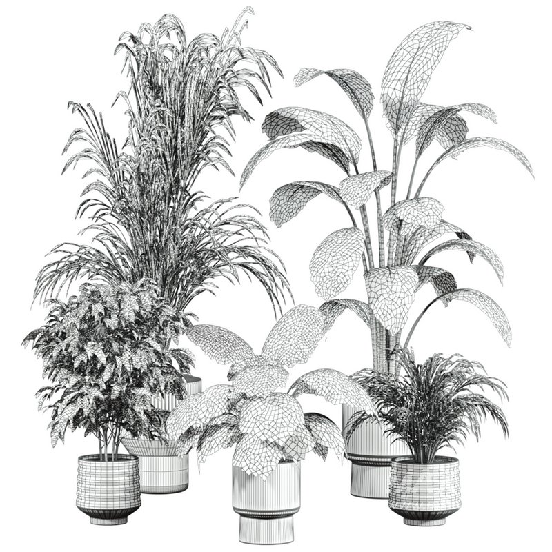 plants set - Image 5