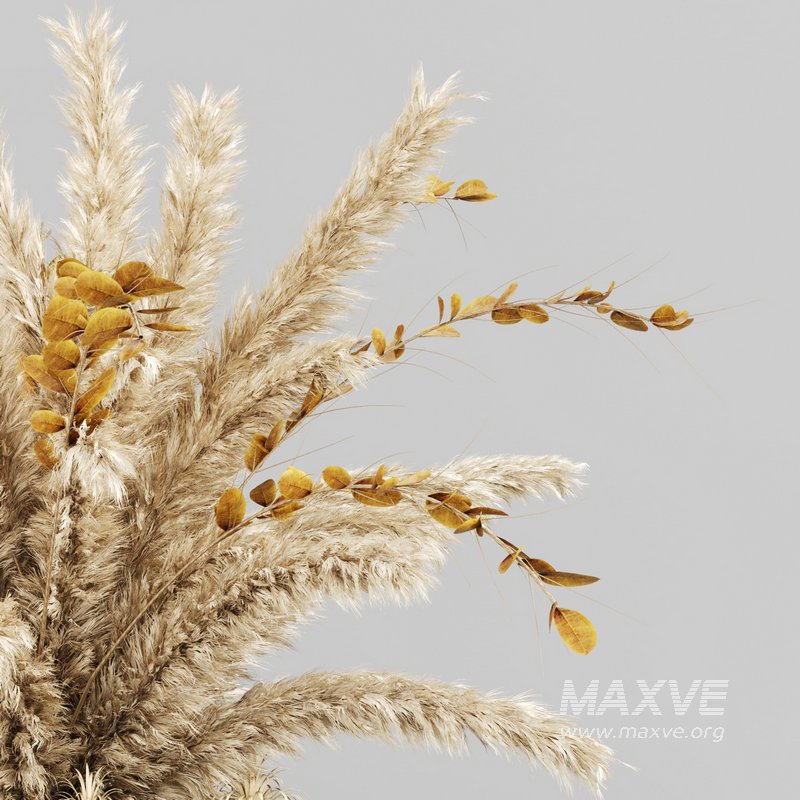 Decorative Pampas and Dried Leaves Arrangement - Image 4