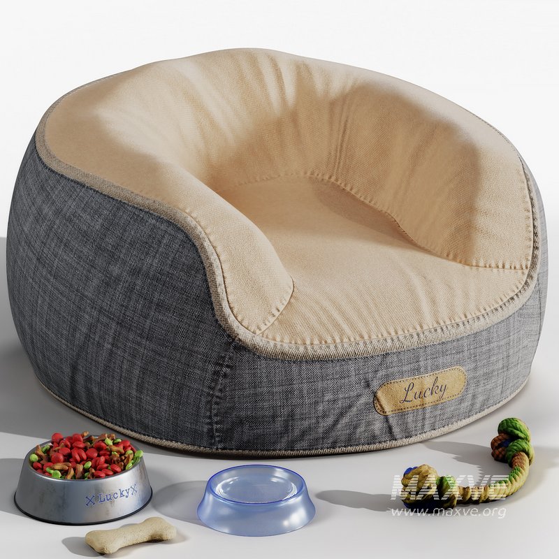 Dog accessories - Image 10