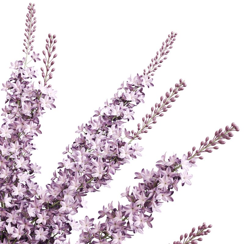 Lilac elegance in concrete - Image 4