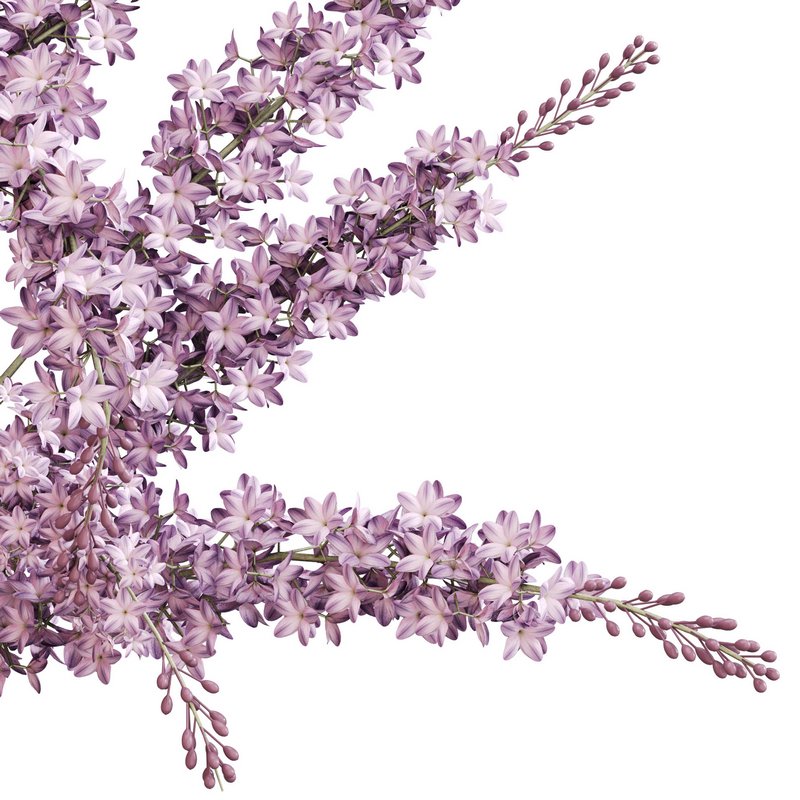 Lilac elegance in concrete - Image 8