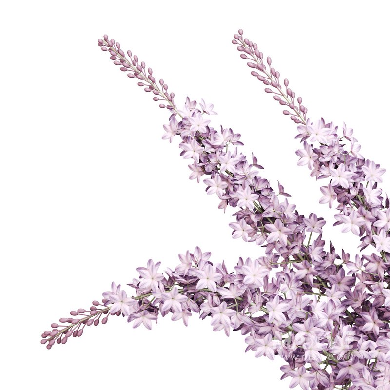 Lilac elegance in concrete - Image 5