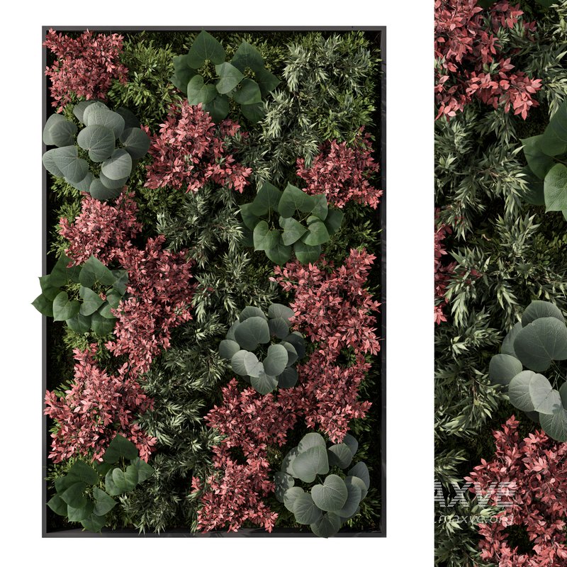 Fitowall Set.3 - Image 1