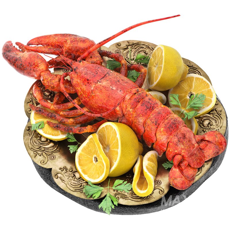 plate of seafood lobster - Image 1