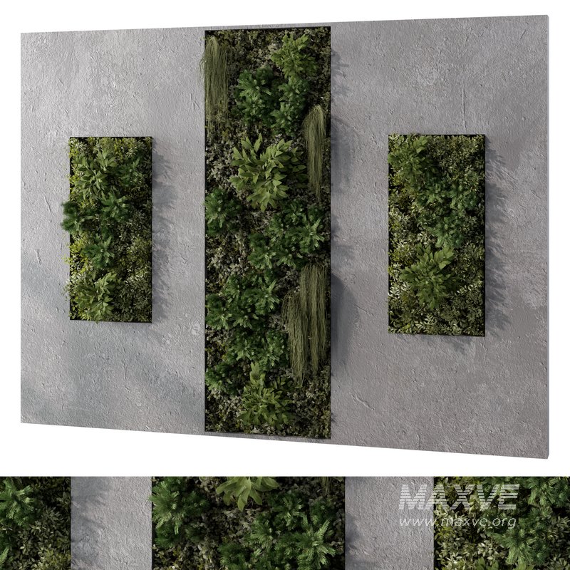 Fitowall No.2 - Image 1