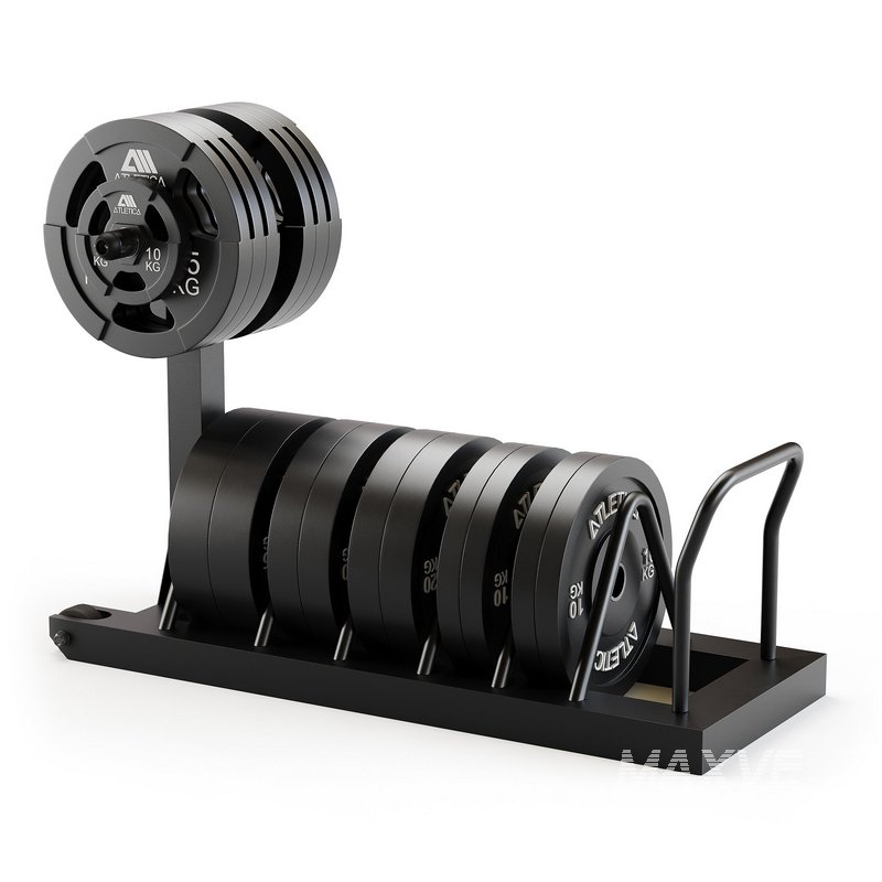 Tusker mobile weight plate rack - Image 1